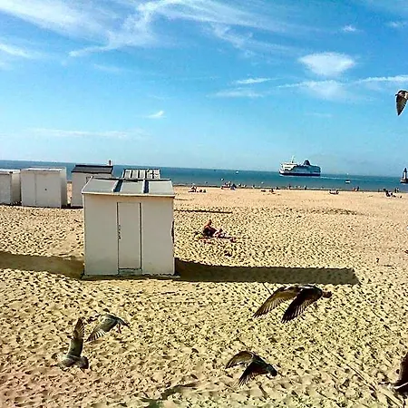Vvf Bleriot-plage